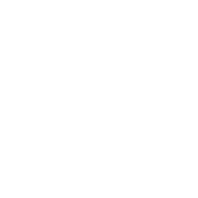 NSF logo